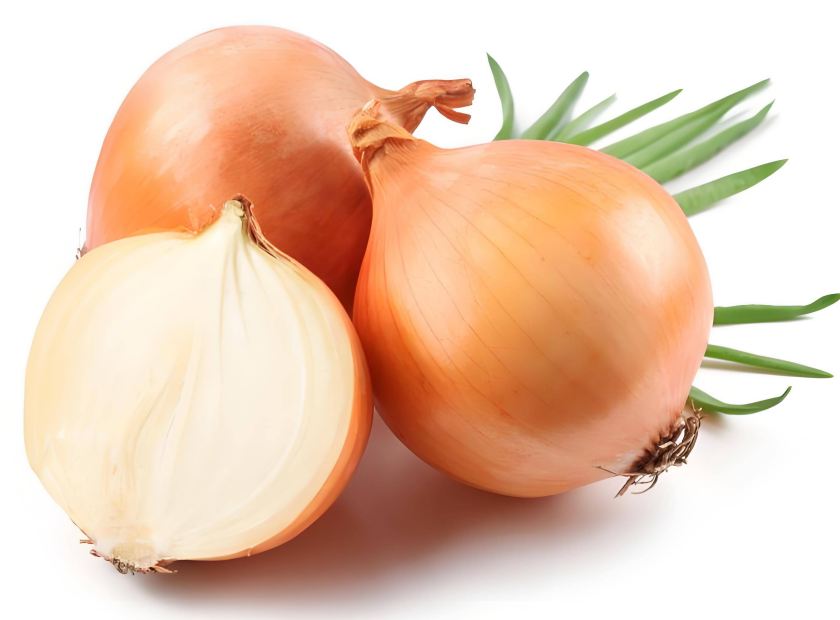 洋蔥蔬菜廢渣螺旋壓榨脫水處理機器視頻